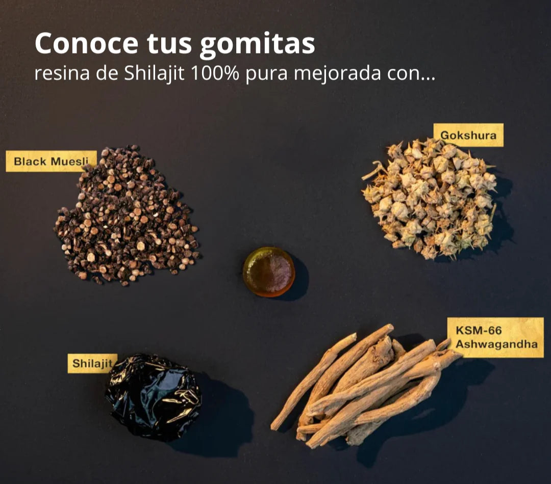 Gold Gomitas de Shilajit Puro del Himalaya: Con Ashwagandha, Black Musli y Gokshura