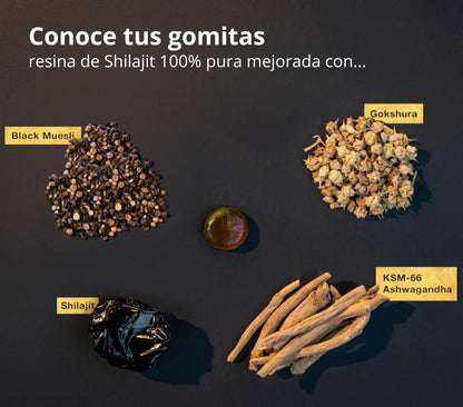 Gold Gomitas de Shilajit Puro del Himalaya: Con Ashwagandha, Black Musli y Gokshura